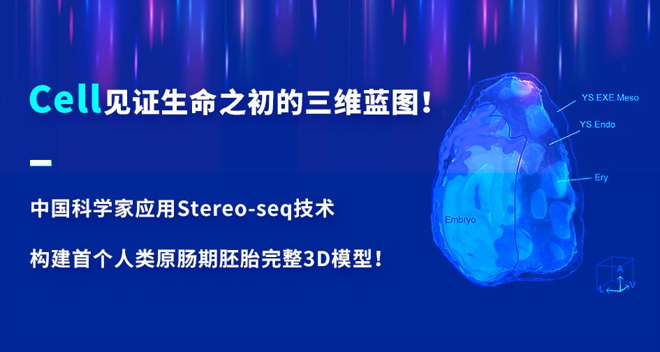 尊龍凱時(shí)官方入口