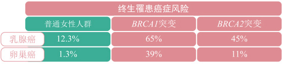 乳腺癌基因檢測(cè)