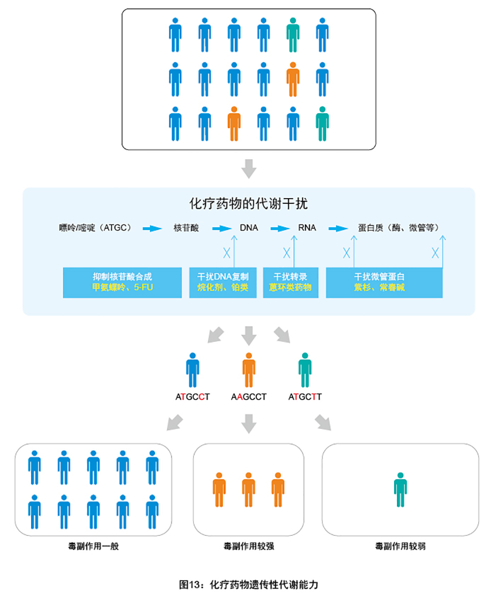 血液病基因檢測