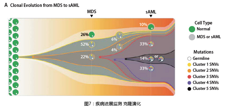 血液病基因檢測