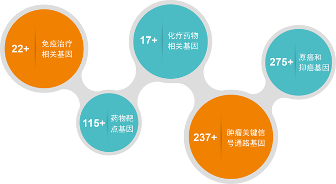 結(jié)直腸癌基因檢測
